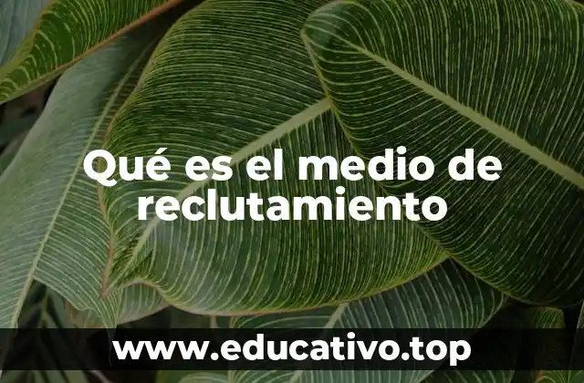 Qué es el medio de reclutamiento