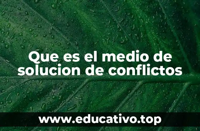 Que es el medio de solucion de conflictos