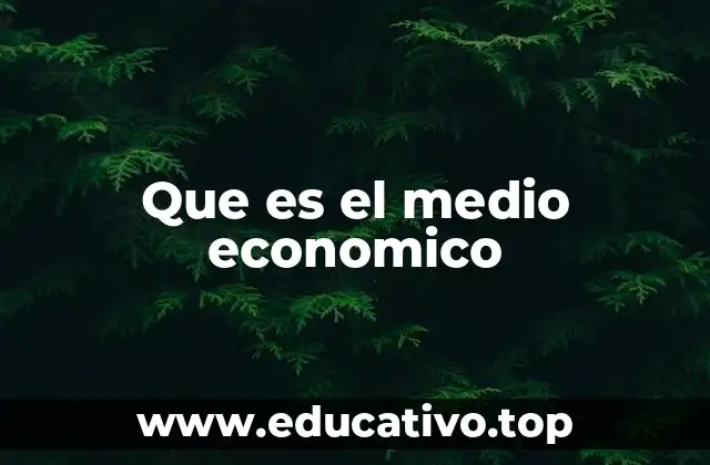 Que es el medio economico