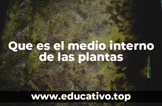 Que es el medio interno de las plantas