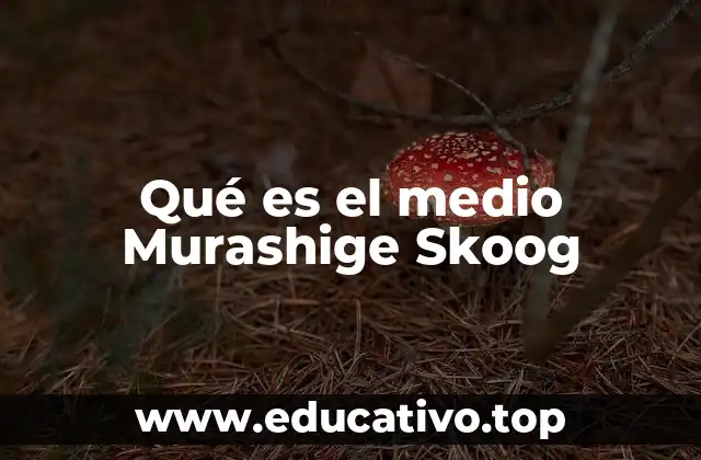 Qué es el medio Murashige Skoog