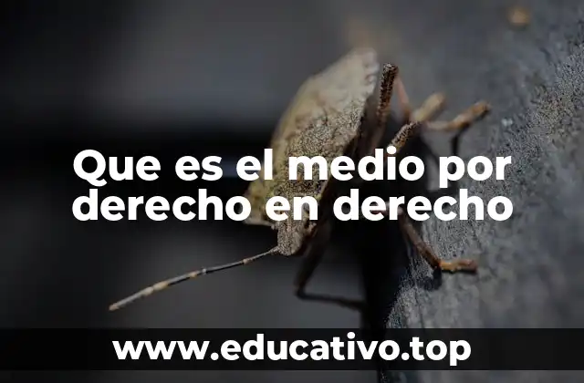 Que es el medio por derecho en derecho