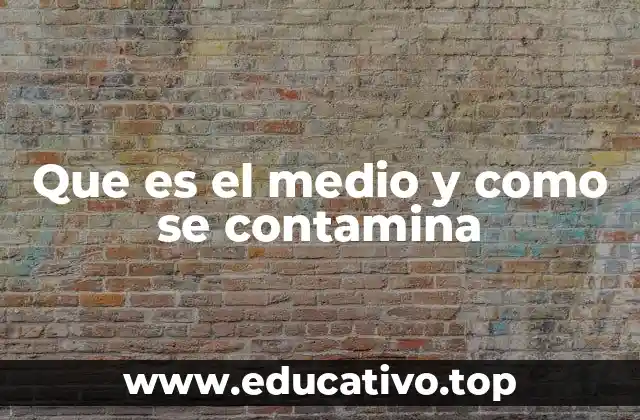 Que es el medio y como se contamina