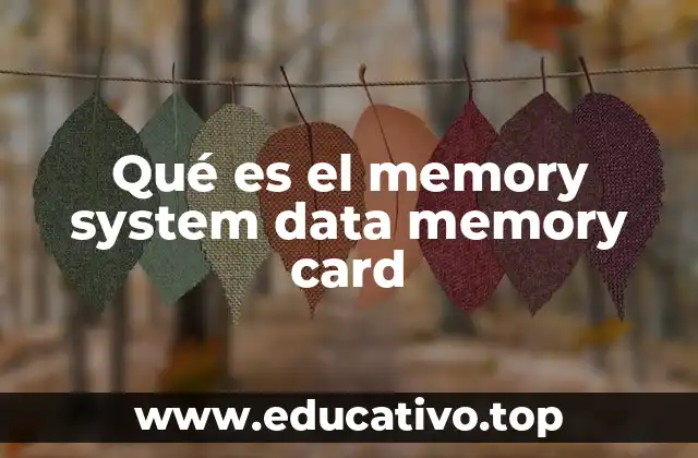 Qué es el memory system data memory card