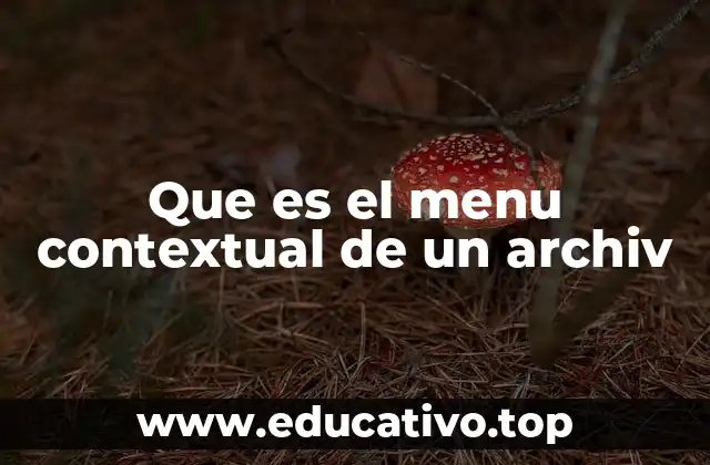 Que es el menu contextual de un archiv