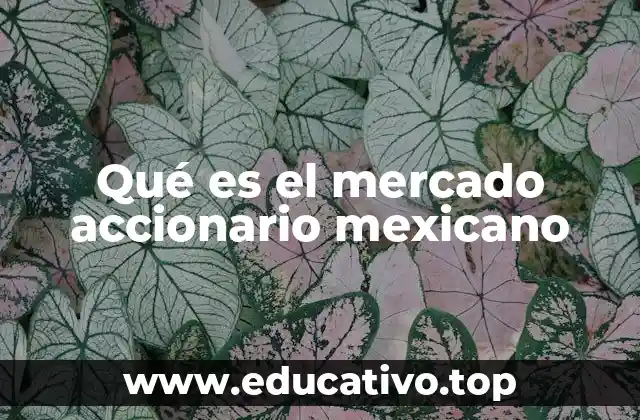 Qué es el mercado accionario mexicano