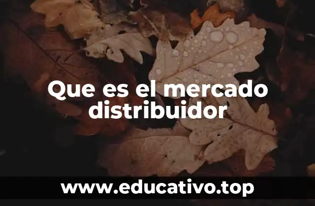 Que es el mercado distribuidor