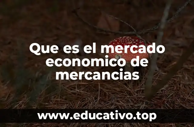 Que es el mercado economico de mercancias