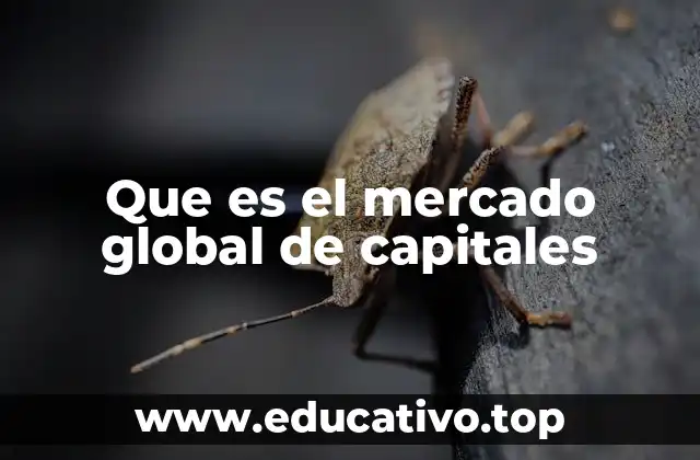 Que es el mercado global de capitales