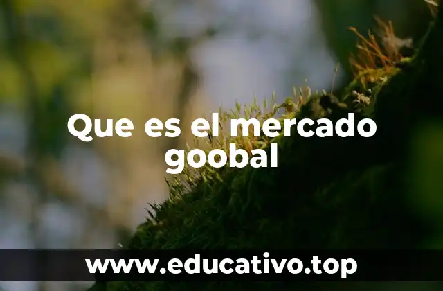 Que es el mercado goobal