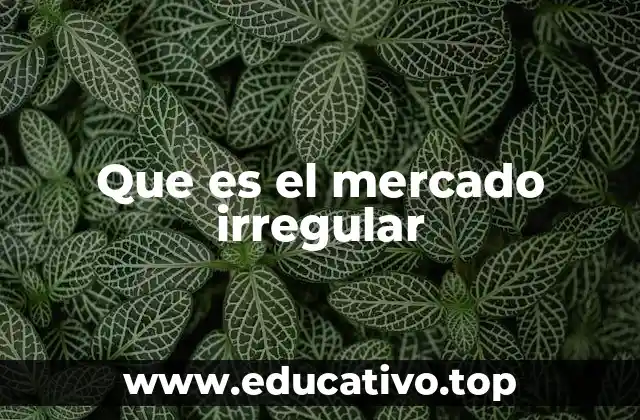 Que es el mercado irregular