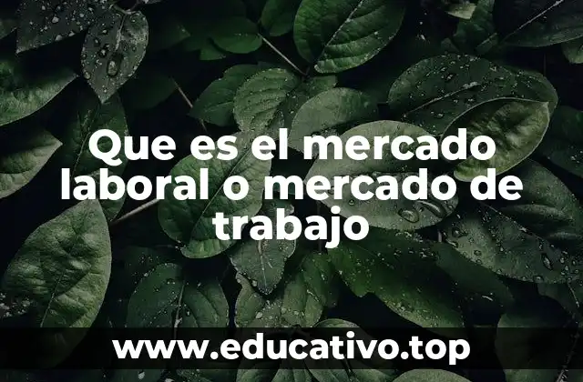 Que es el mercado laboral o mercado de trabajo