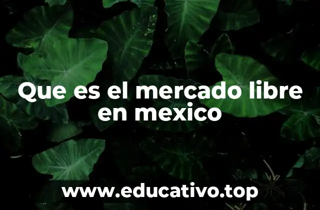 Cómo el Mercado Libre transformó el comercio en línea en México