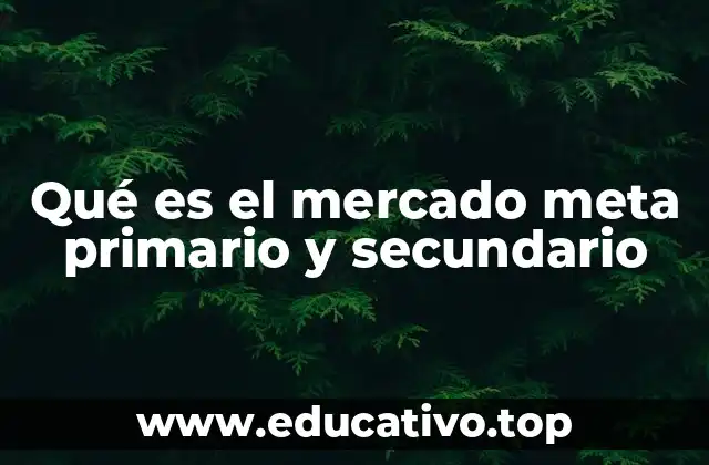 Qué es el mercado meta primario y secundario