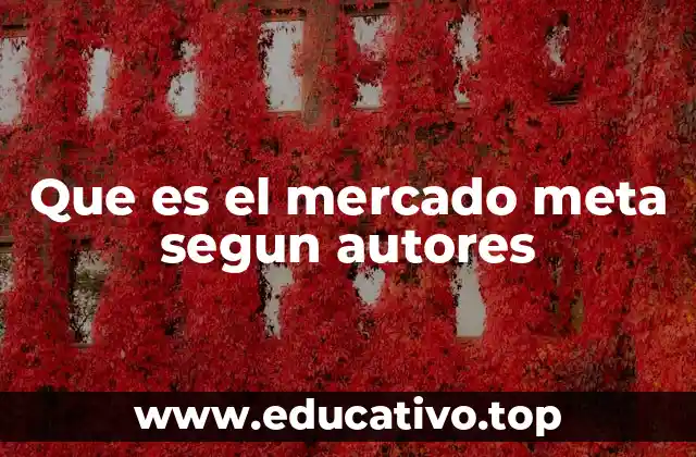 Que es el mercado meta segun autores
