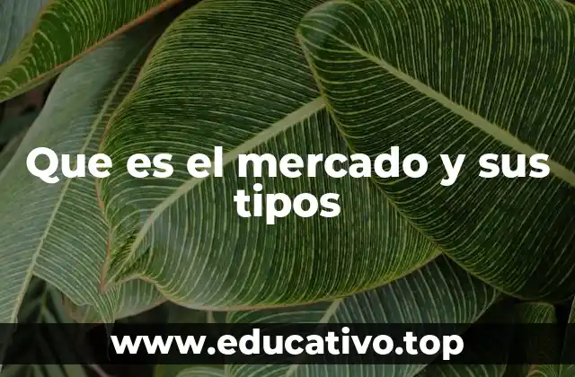 Que es el mercado y sus tipos