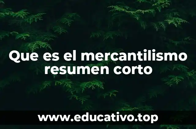 Que es el mercantilismo resumen corto
