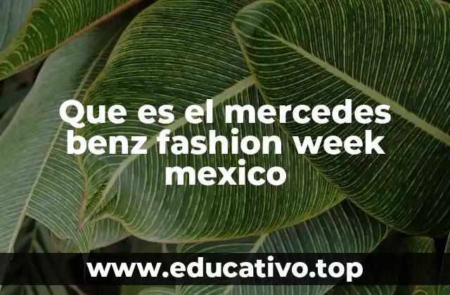 Que es el mercedes benz fashion week mexico