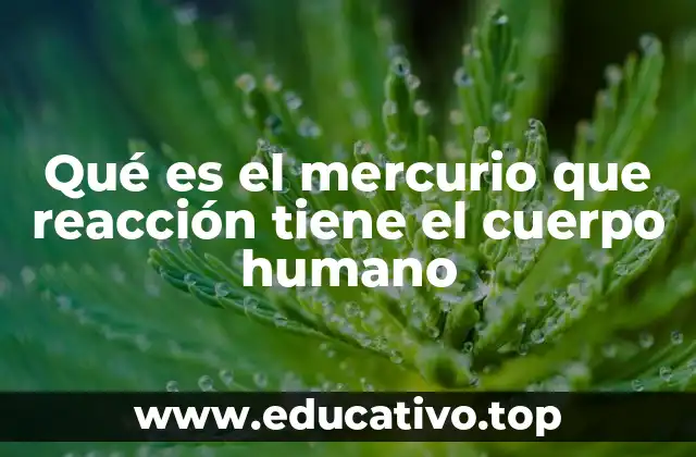 Qué es el mercurio que reacción tiene el cuerpo humano