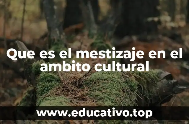 Que es el mestizaje en el ambito cultural