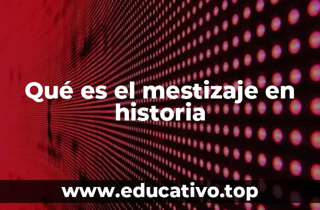 Qué es el mestizaje en historia