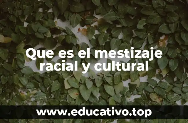 La interacción entre identidades en la formación de sociedades multiculturales