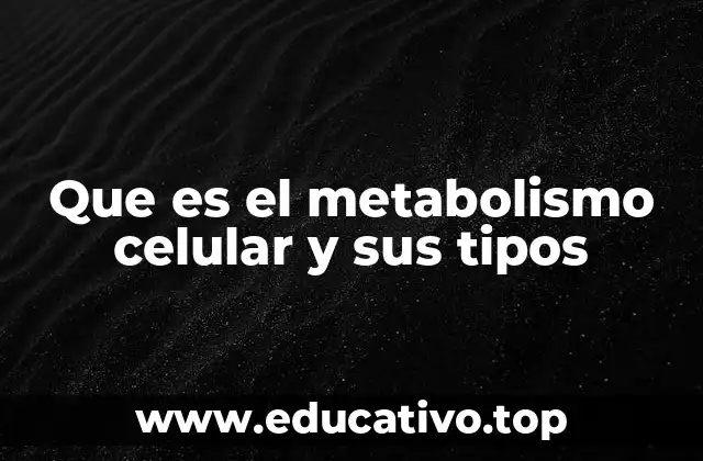 Que es el metabolismo celular y sus tipos