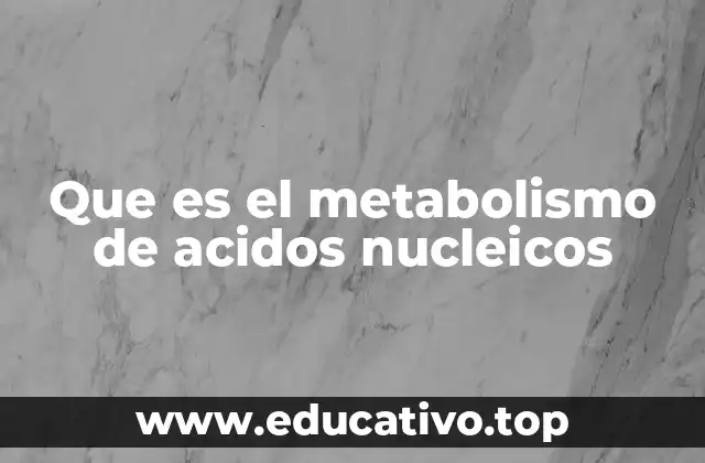 La importancia del equilibrio en la síntesis y degradación de nucleótidos