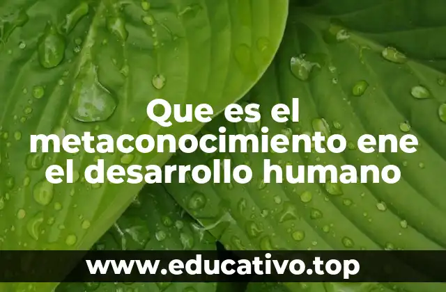 Que es el metaconocimiento ene el desarrollo humano