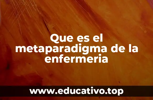 Que es el metaparadigma de la enfermeria