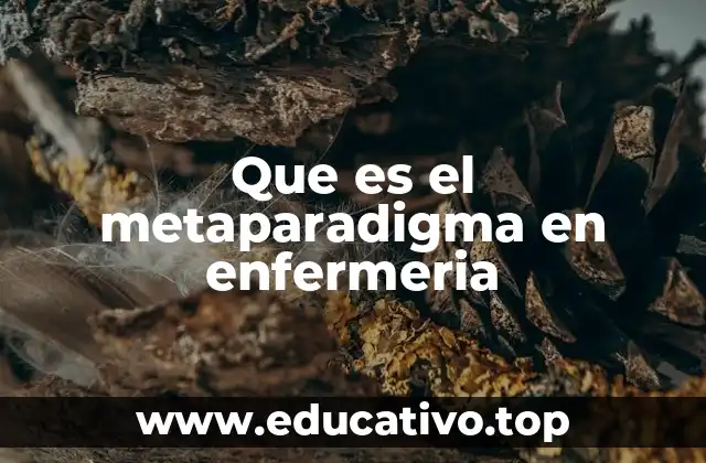 Que es el metaparadigma en enfermeria