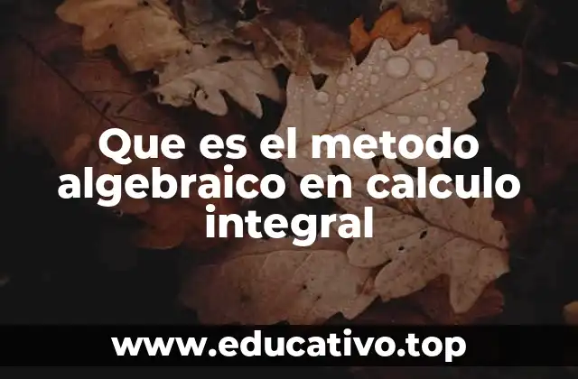 Que es el metodo algebraico en calculo integral