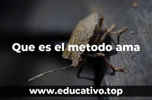 Que es el metodo ama