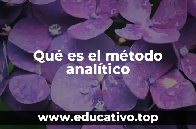 Qué es el método analítico
