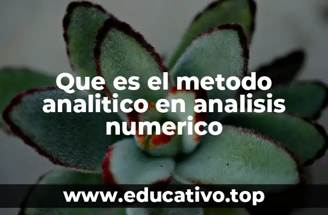 Que es el metodo analitico en analisis numerico