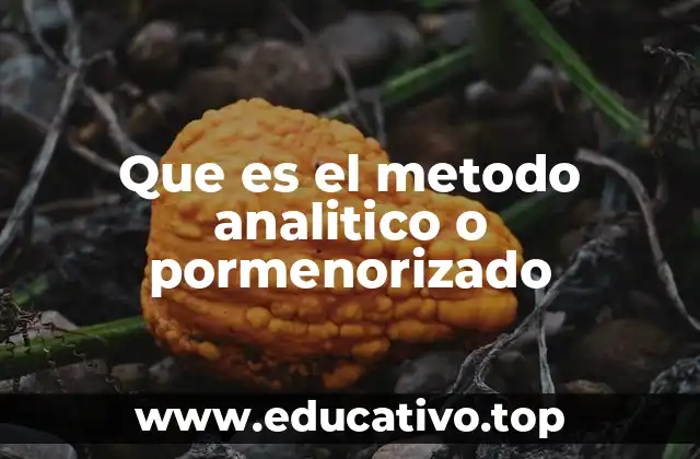 Que es el metodo analitico o pormenorizado