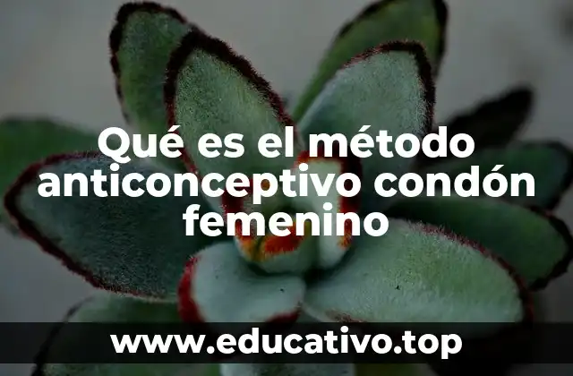 Qué es el método anticonceptivo condón femenino