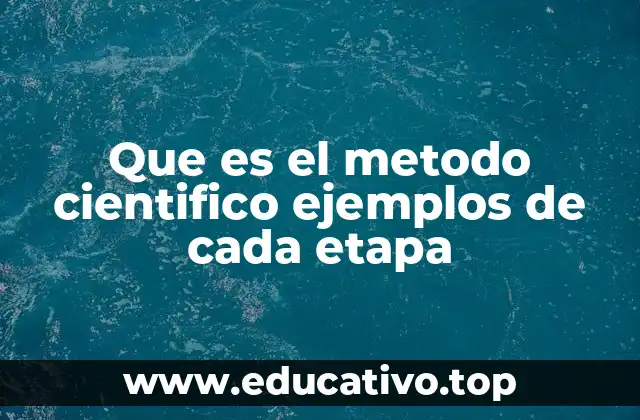 Que es el metodo cientifico ejemplos de cada etapa