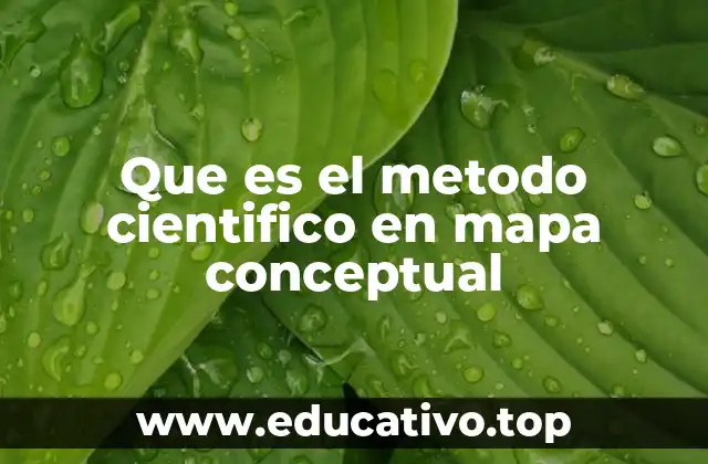 Que es el metodo cientifico en mapa conceptual