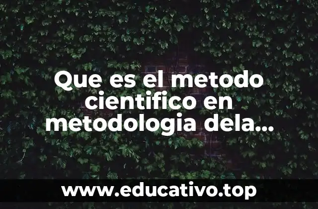 Que es el metodo cientifico en metodologia dela investigacion