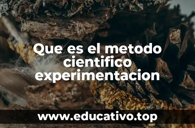 Que es el metodo cientifico experimentacion