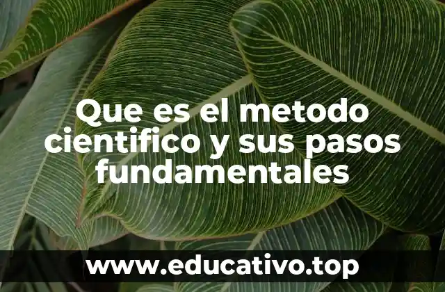 Que es el metodo cientifico y sus pasos fundamentales