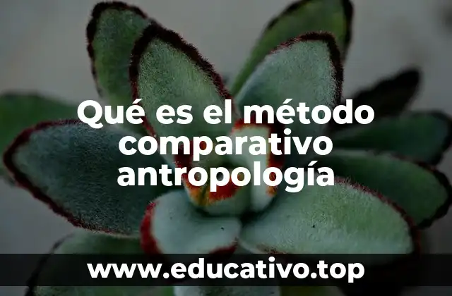 Qué es el método comparativo antropología