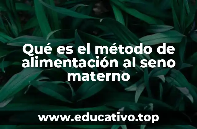 Qué es el método de alimentación al seno materno