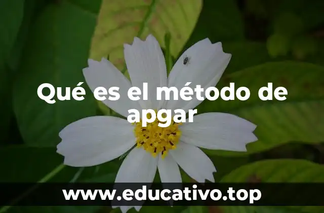 La importancia del método Apgar en la salud neonatal