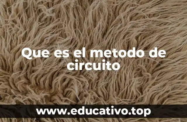 Que es el metodo de circuito