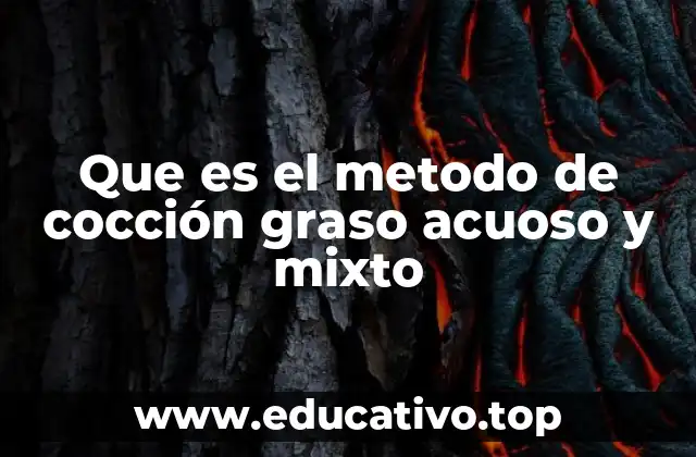 Que es el metodo de cocción graso acuoso y mixto