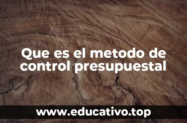 La importancia del control en la gestión financiera empresarial