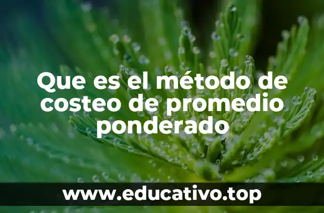 Que es el método de costeo de promedio ponderado