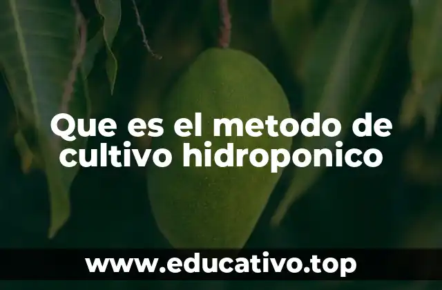 Que es el metodo de cultivo hidroponico